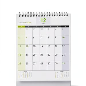 Kindle Business Planning & Forecasting Guide by American Consumer News-0